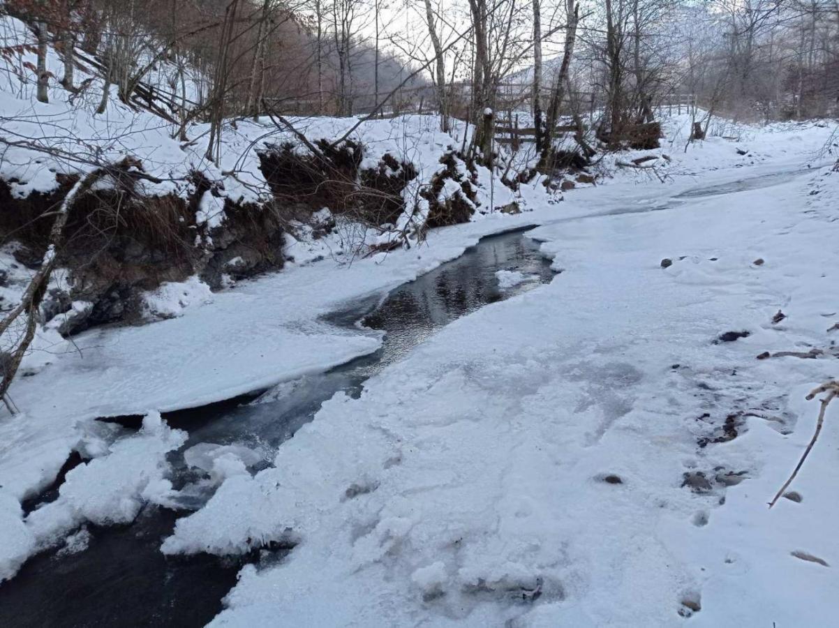 Willa Vikendica Nole Jahorina Pale Zewnętrze zdjęcie
