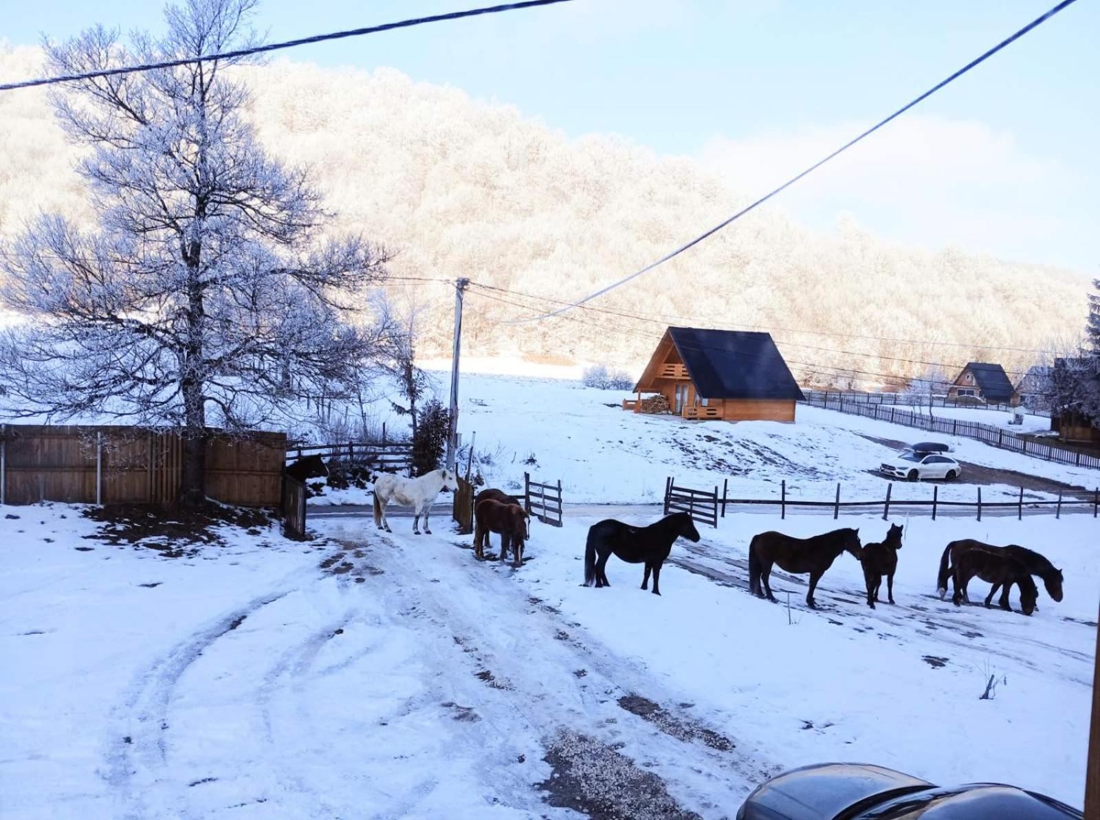 Willa Vikendica Nole Jahorina Pale Zewnętrze zdjęcie